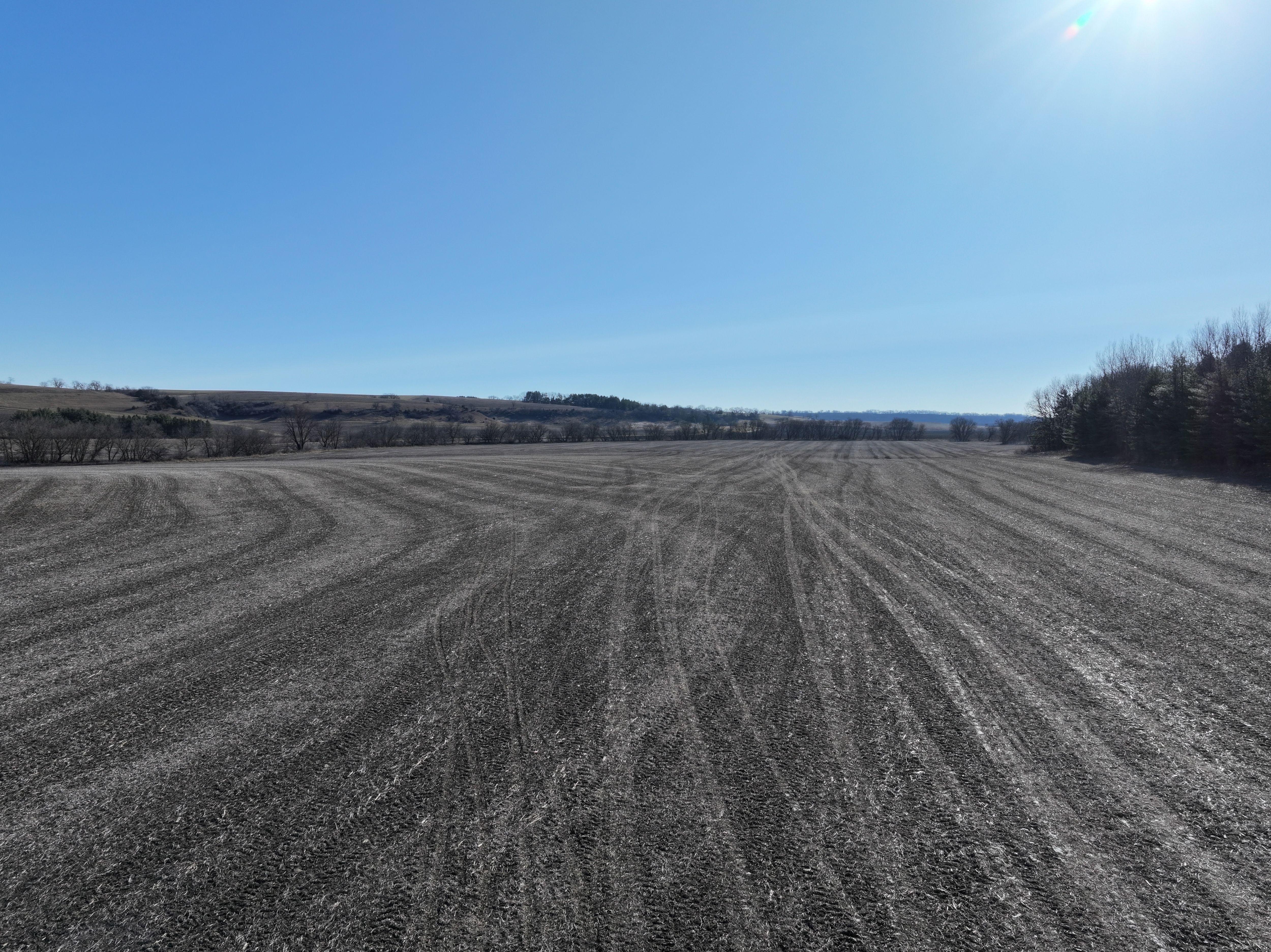 Listing Photo: Lafayette-County-Wisconsin-Farmland-For-Sale (8)